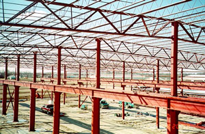 Steel Roof Joists and Deck Structure